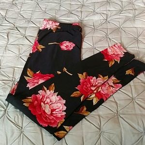 NWOT Agnes & Dora legging.